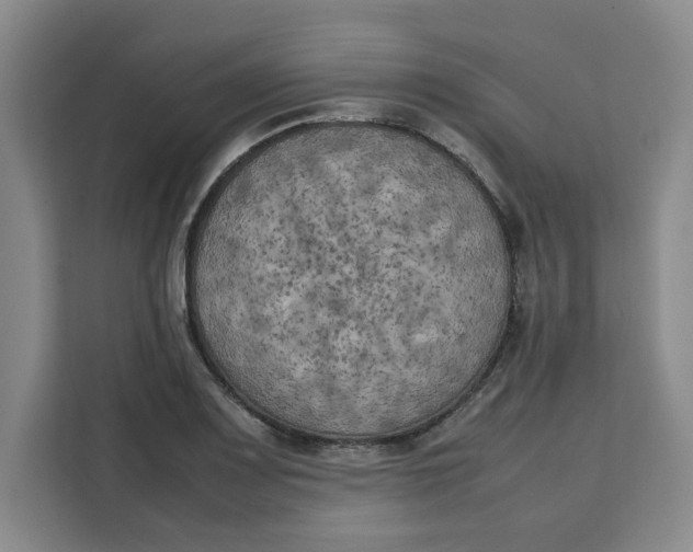 X0000111151083200907141336