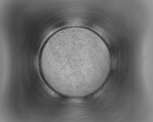 X0000111151086200907141336