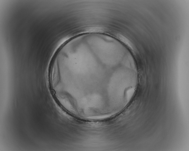 X0000111151087200907141336