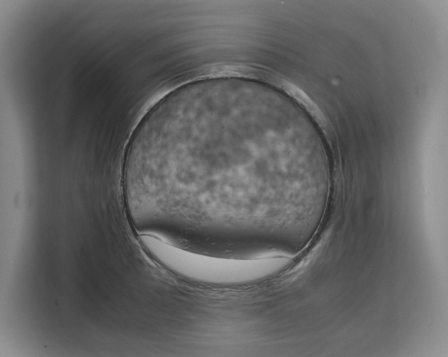 X0000111151089200907141336