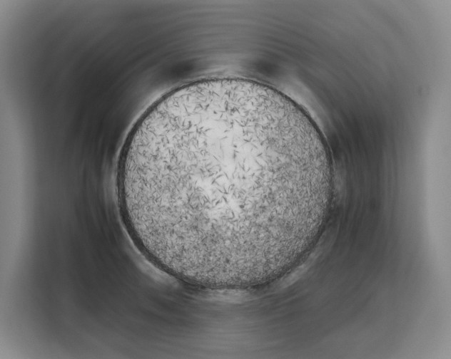 X0000111151090200907141336