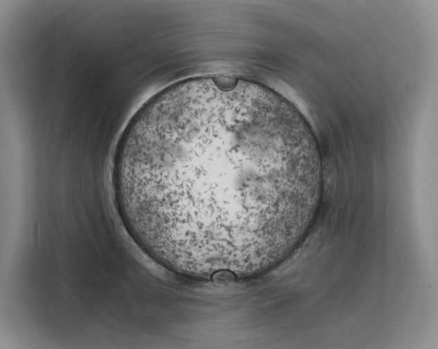 X0000111151091200907141336