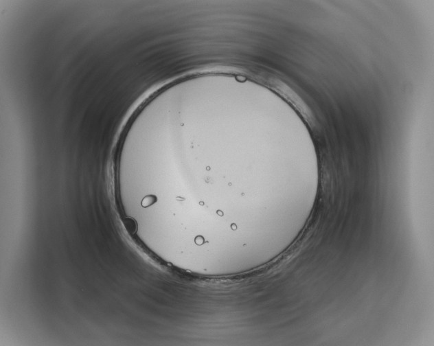 X0000111151092200907141336
