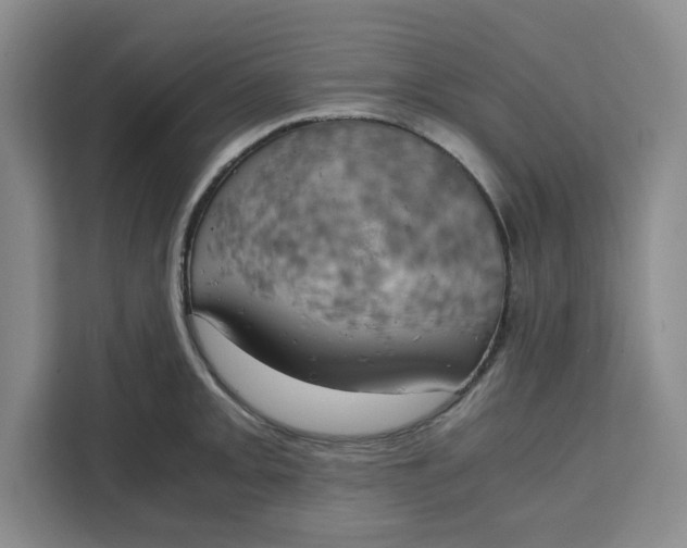 X0000111151093200907141336