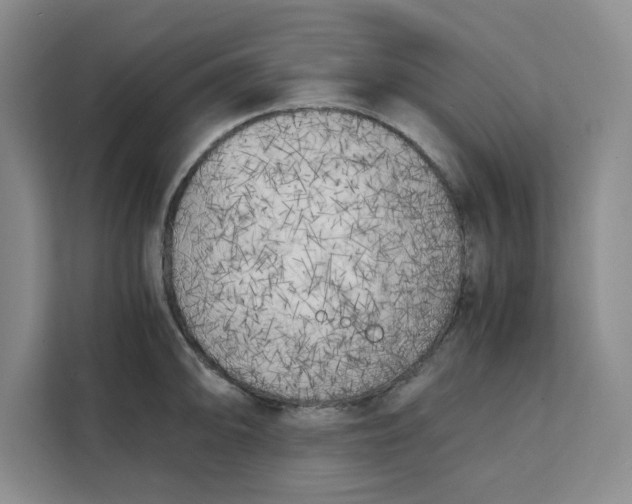 X0000111151094200907141336