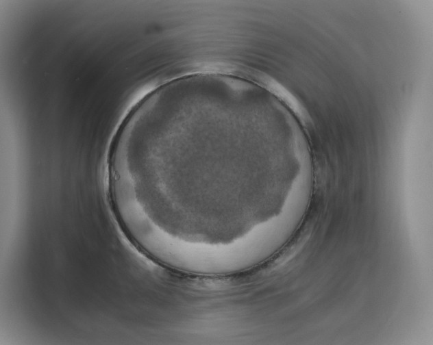X0000111151095200907141336