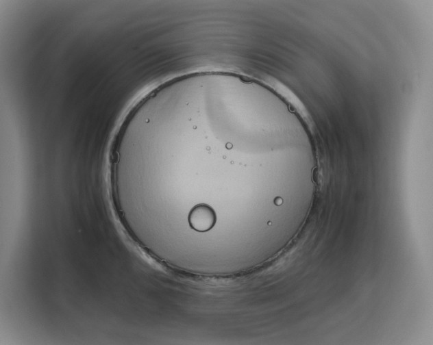 X0000111151096200907141336