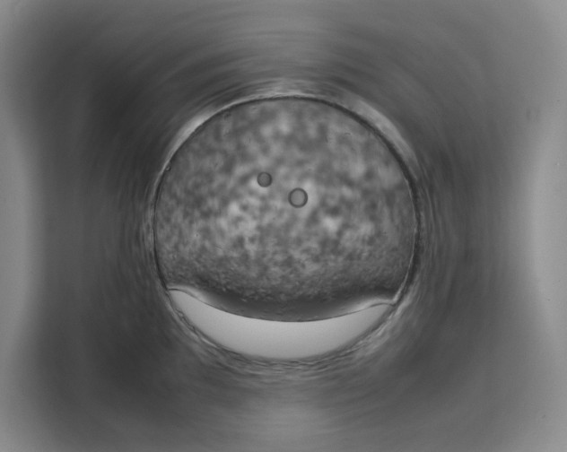 X0000111151097200907141336