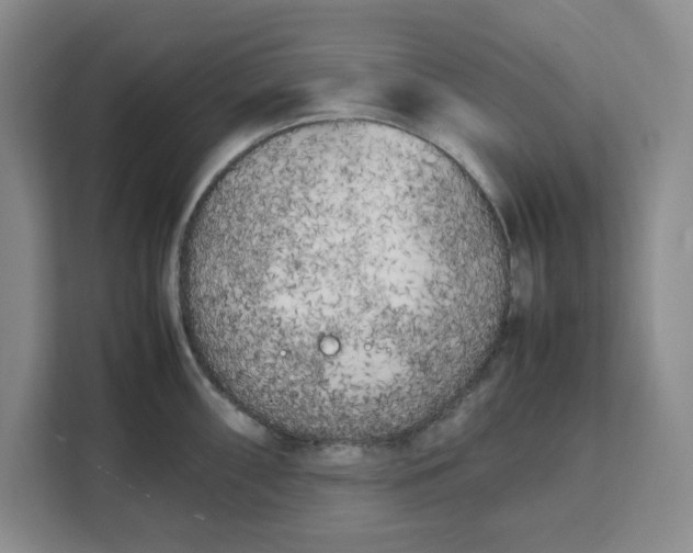 X0000111151098200907141336