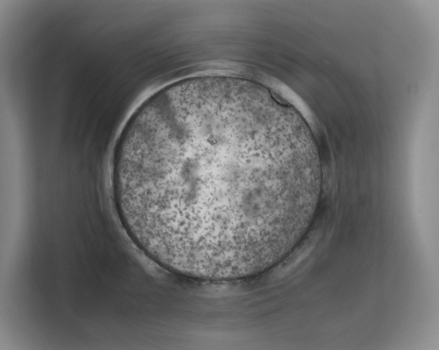 X0000111151099200907141336
