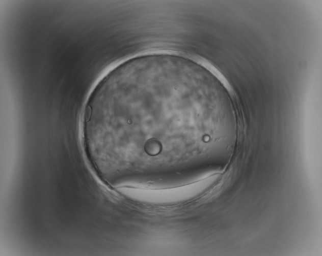 X0000111151101200907141336