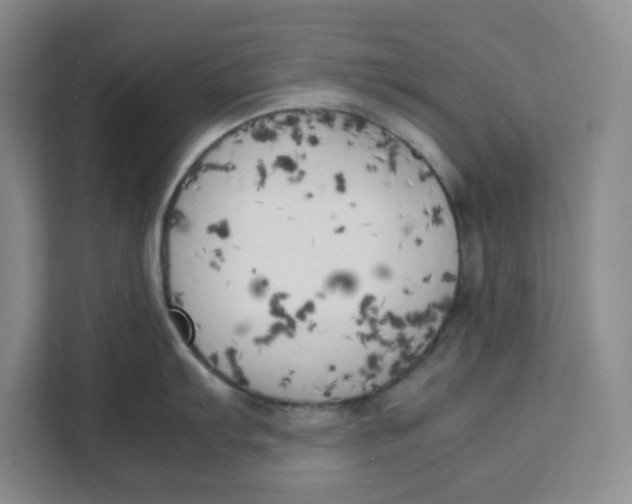 X0000111151103200907141336