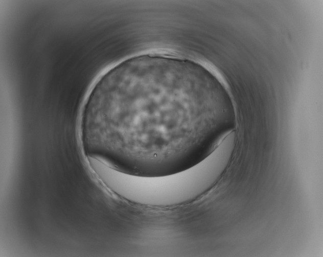 X0000111151104200907141336