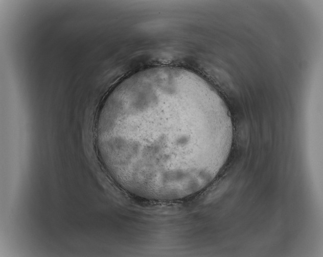 X0000111151105200907141336