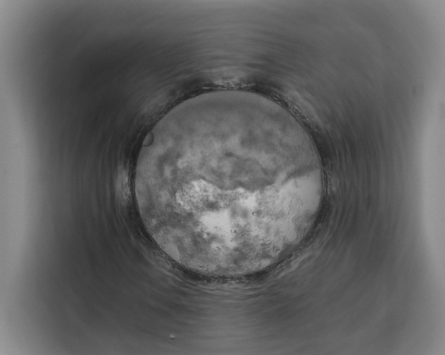 X0000111151106200907141336