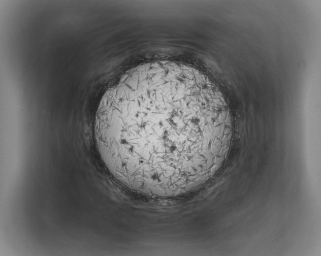 X0000111151109200907141336