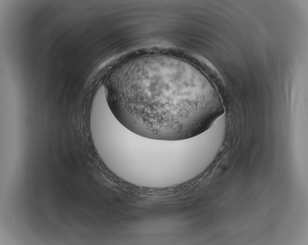 X0000111151112200907141336
