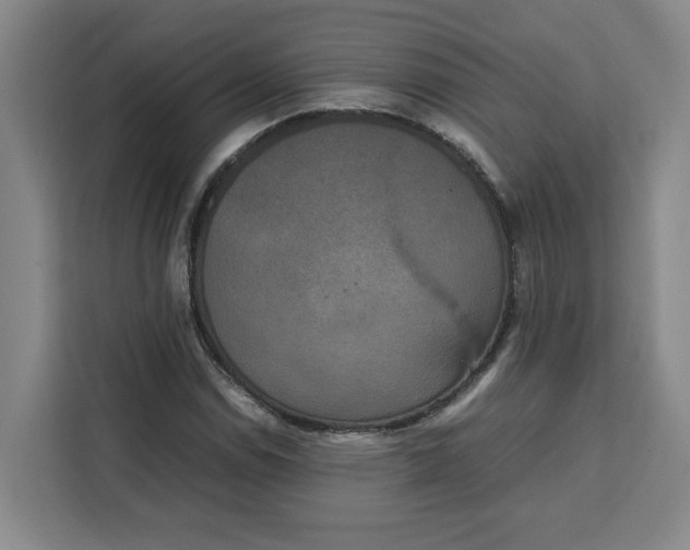 X0000111151114200907141336