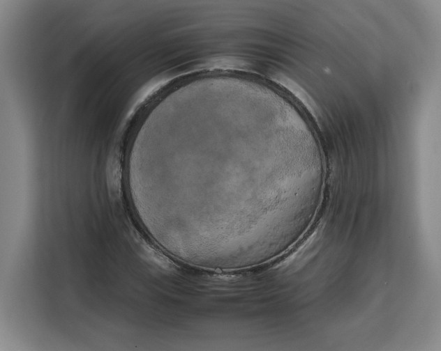 X0000111151115200907141336