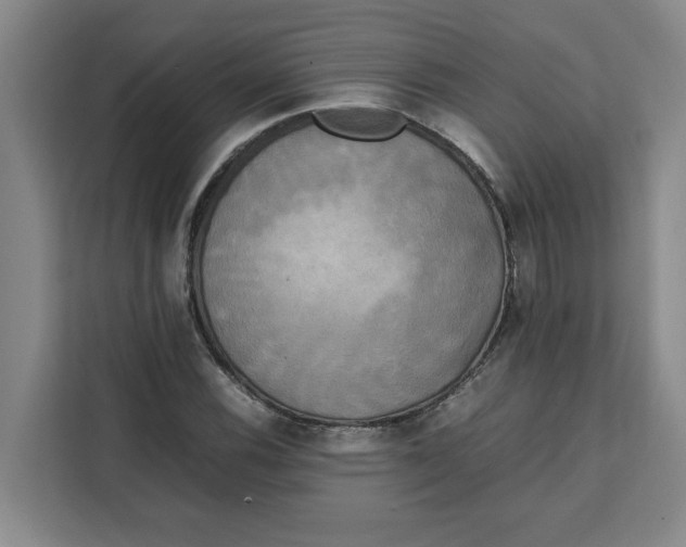 X0000111151116200907141336
