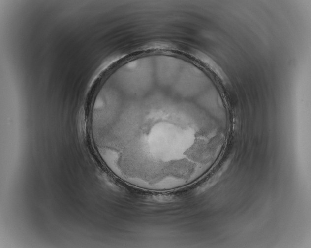 X0000111151117200907141336