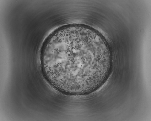 X0000111151118200907141336