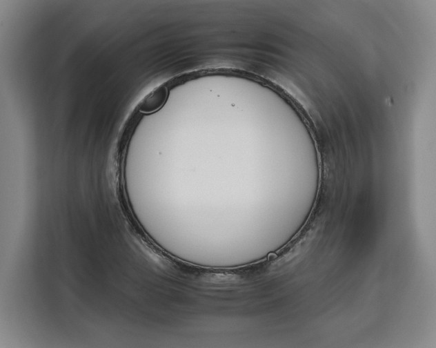 X0000111151119200907141336