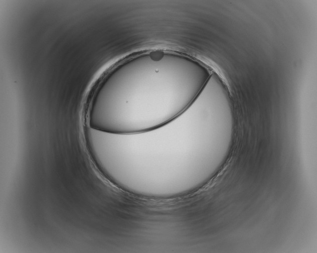 X0000111151120200907141336