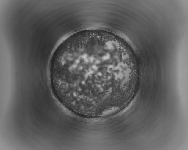 X0000111151122200907141336