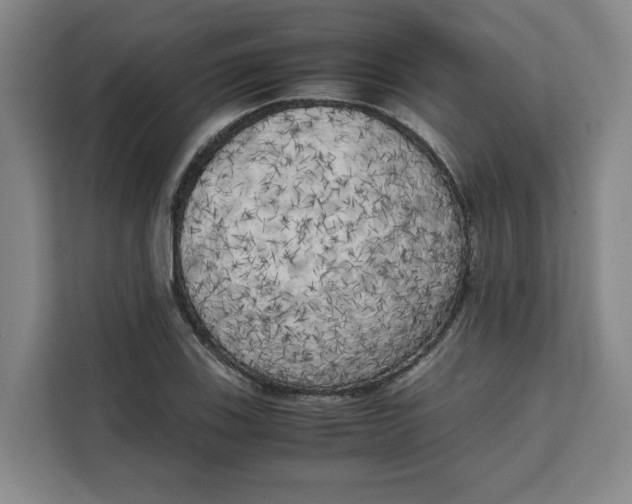 X0000111151123200907141336