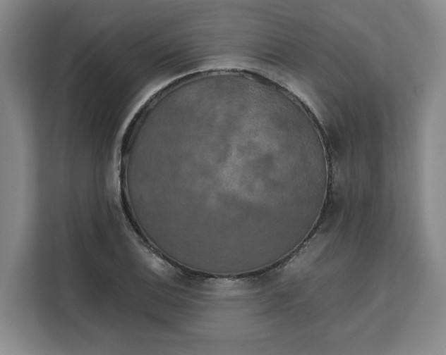 X0000111151124200907141336