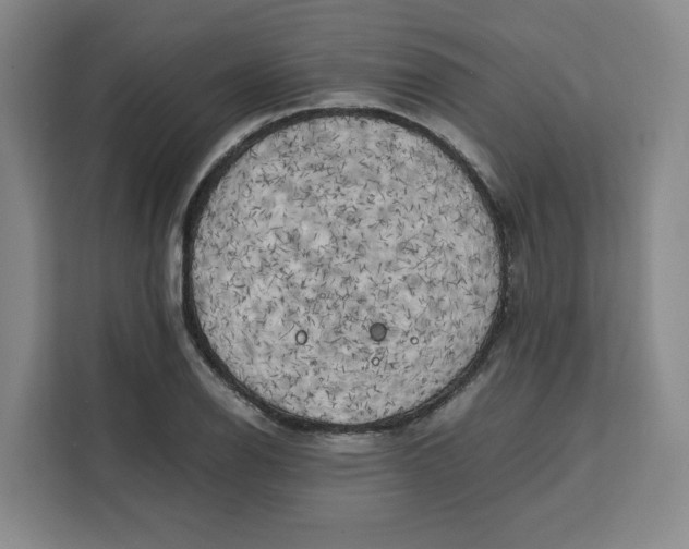 X0000111151126200907141336