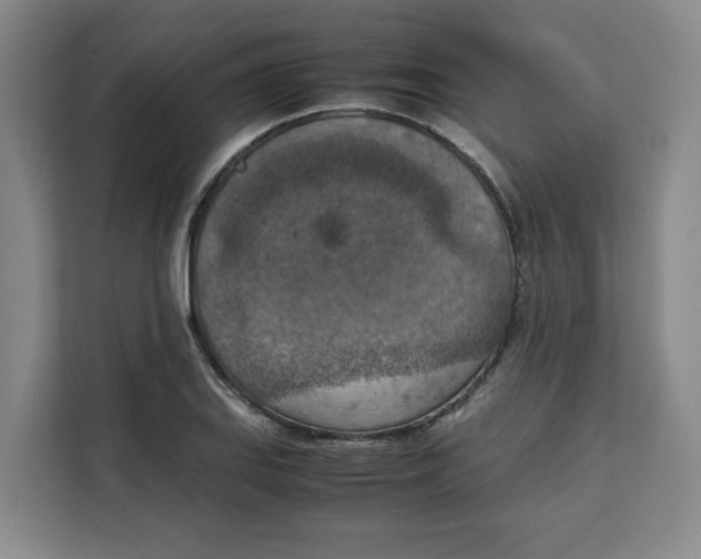 X0000111151127200907141336