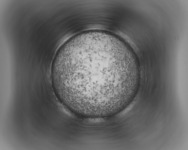 X0000111151129200907141336