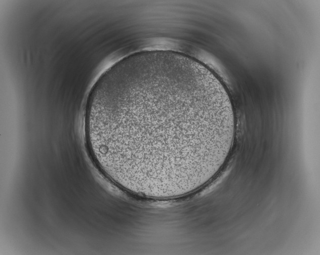 X0000111151130200907141336