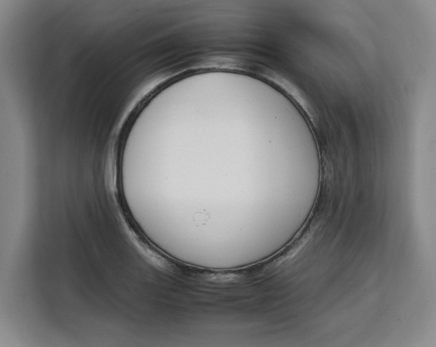 X0000111151131200907141336