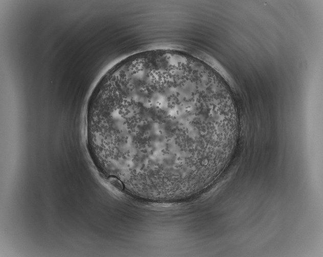 X0000111151132200907141336