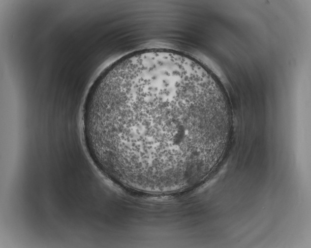 X0000111151133200907141336