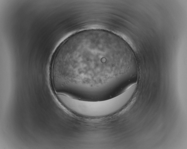 X0000111151134200907141336