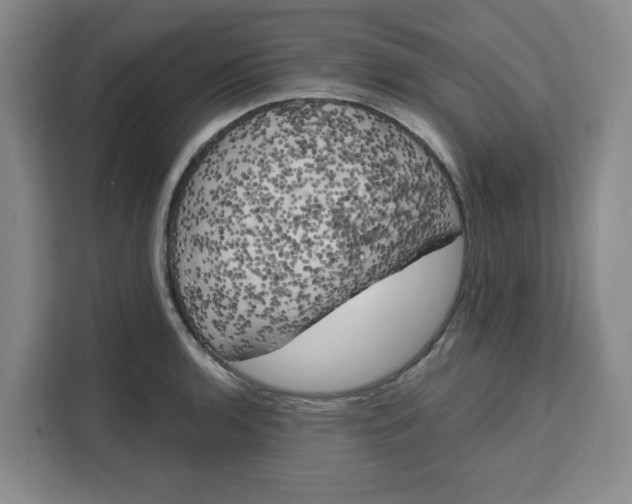 X0000111151136200907141336