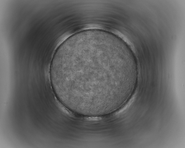 X0000111151137200907141336