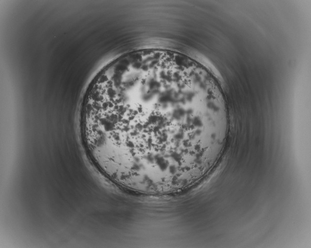 X0000111151138200907141336