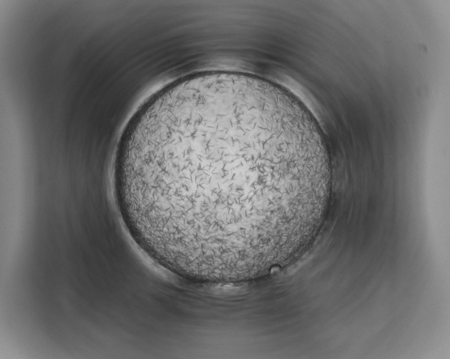 X0000111151139200907141336
