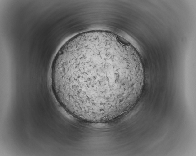 X0000111151140200907141336