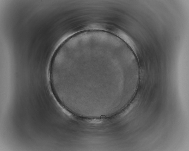 X0000111151141200907141336