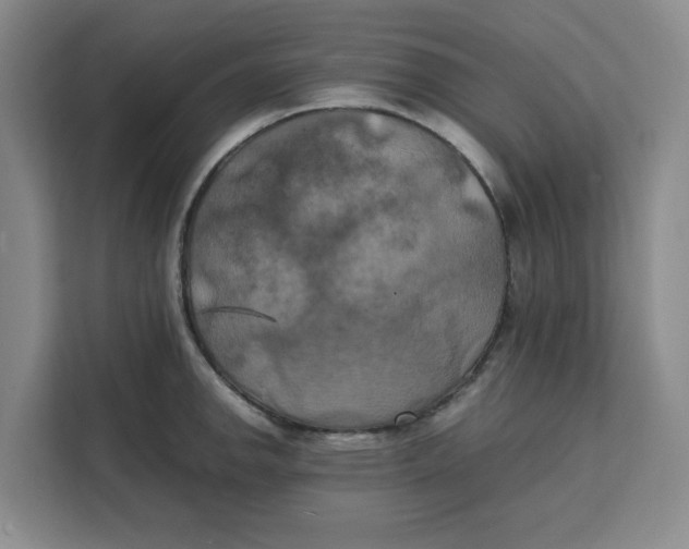 X0000111151142200907141336