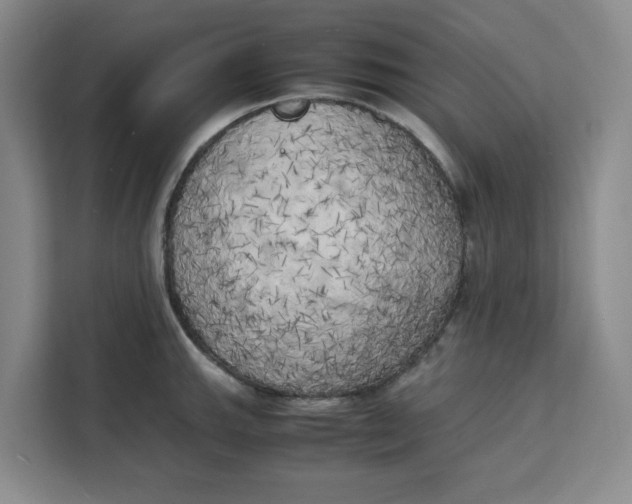 X0000111151143200907141336