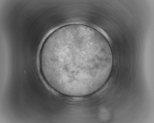 X0000111151144200907141336