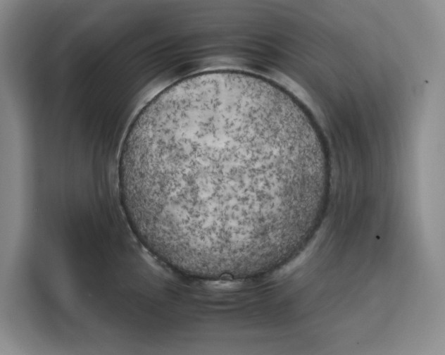 X0000111151145200907141336