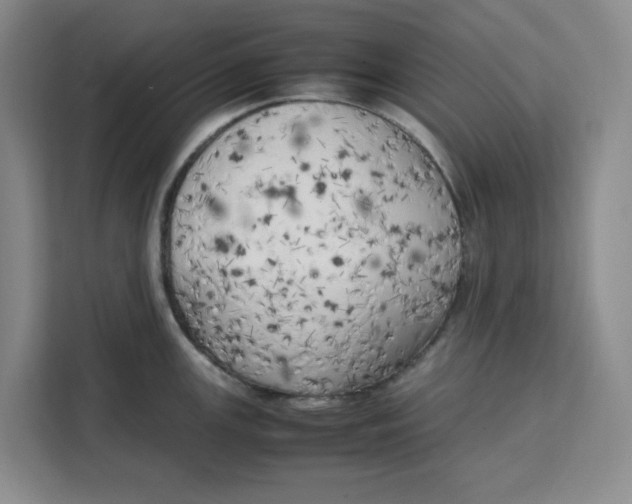 X0000111151147200907141336